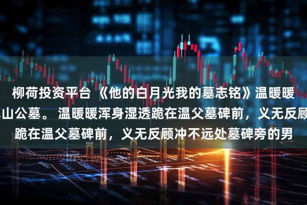 柳荷投资平台 《他的白月光我的墓志铭》温暖暖傅书桓 清明大雨，暮山公墓。 温暖暖浑身湿透跪在温父墓碑前，义无反顾冲不远处墓碑旁的男